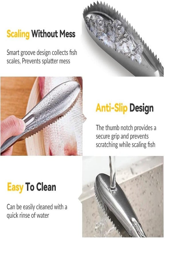 BLINE Fish Scaler Stainless Steel Fish Scaler Remover No Mess - Sturdy Fish Descaler Tool Portable Fish Scale Remover - Durable Fish Scraper Fish Cleaning Tools for Quick & Easy Fish Scaling (Pack 1) - Image 2